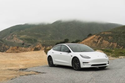 WhipSmart Tesla Model Y